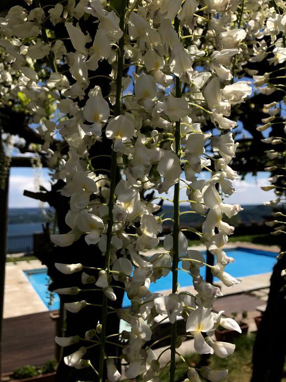 Casamariuccia Guest House Massino Visconti Exterior photo